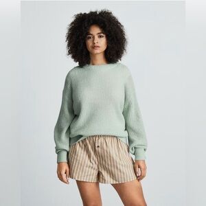 Everlane Alpaca Crew Sweater Oversized Airy Knit Balloon Sleeves in Mint Green
